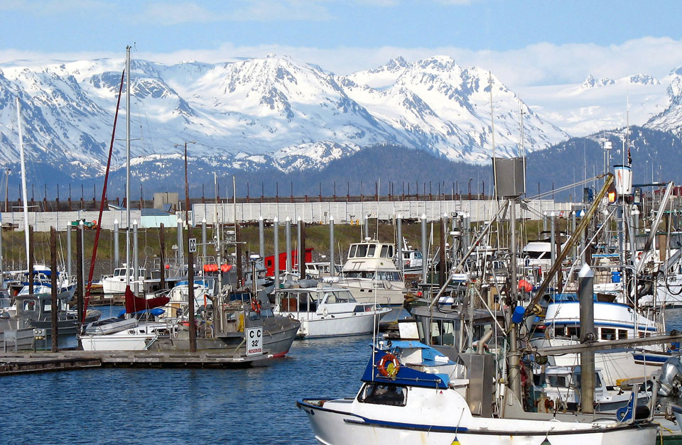 Homer, Alaska Boat Harbor