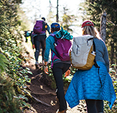 Hiking in Kachemak Bay State Park